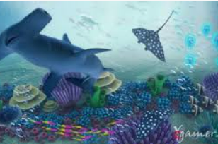 南宫app2024最新版